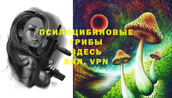 винт Белая Холуница