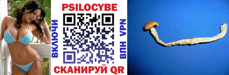 Псилоцибиновые грибы прущие грибы Вятские Поляны