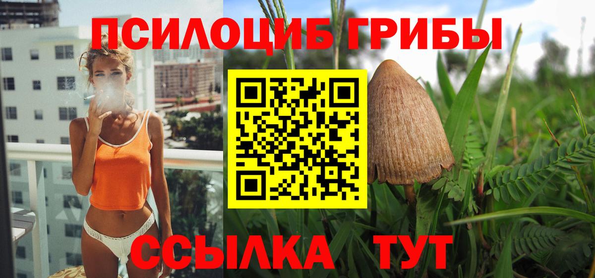 Псилоцибиновые грибы Cubensis Вятские Поляны