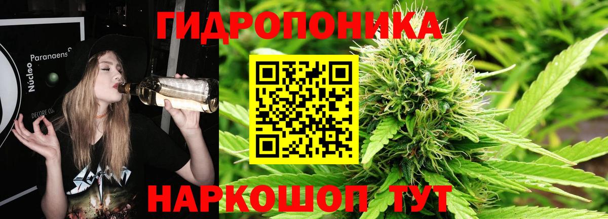 Бошки марихуана индика  Бошки Шишки OG Kush  Вятские Поляны  Вход с VPN 